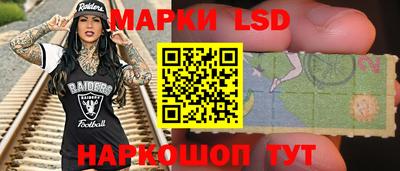 индика Новозыбков