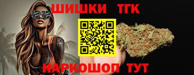 индика Новозыбков