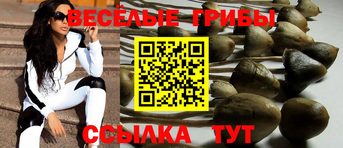 Псилоцибиновые грибы мухоморы Тихорецк