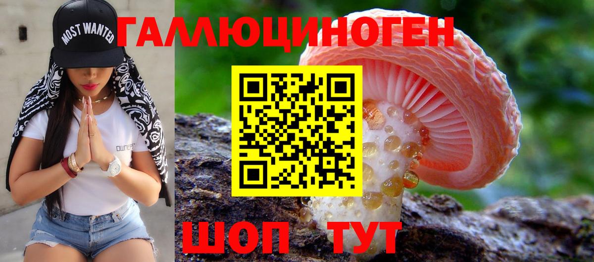 Галлюциногенные грибы мицелий  Галлюциногенные грибы Cubensis  Вход с VPN  Тихорецк 
